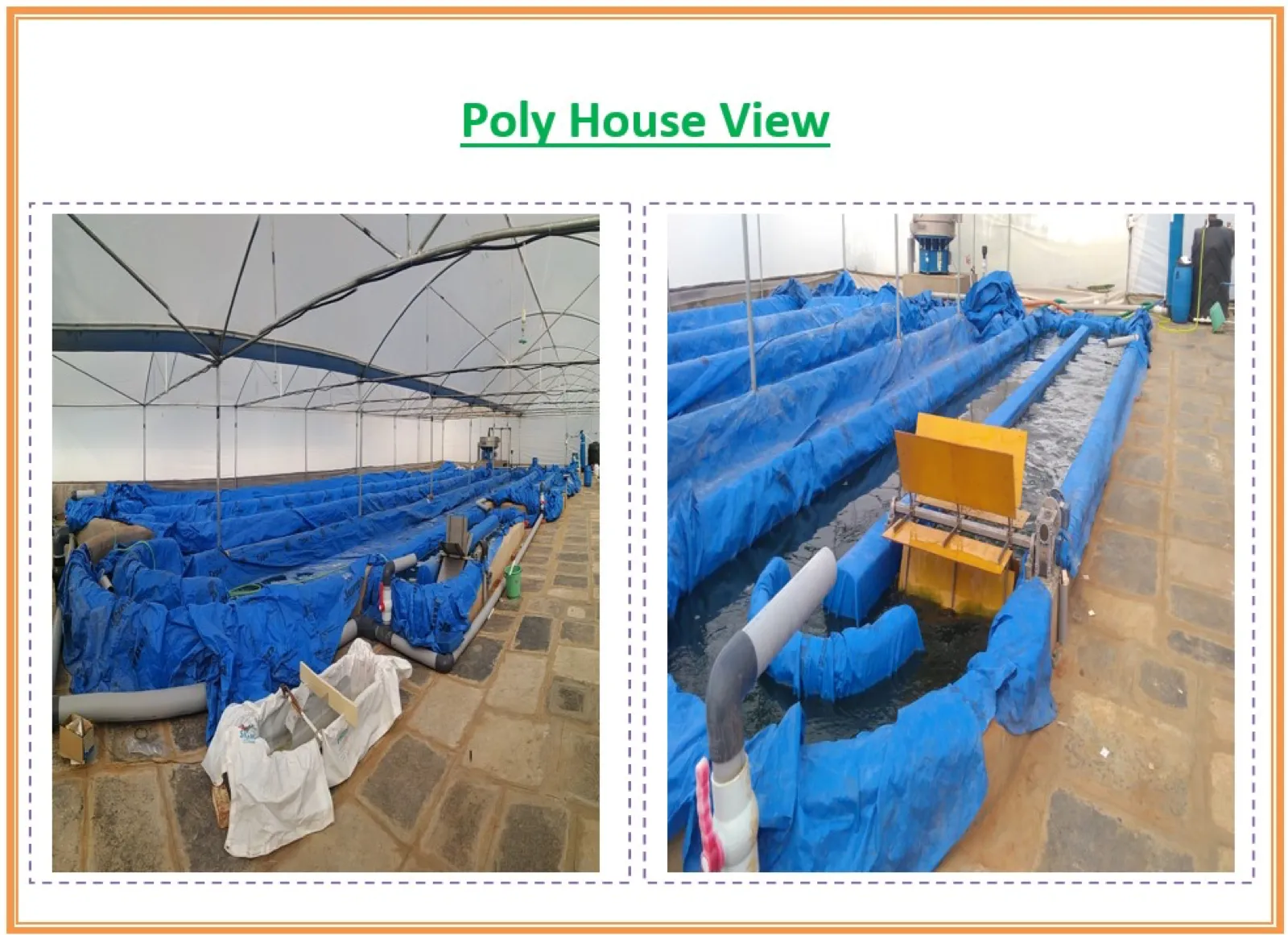 Food Processing & Testing Facilities
